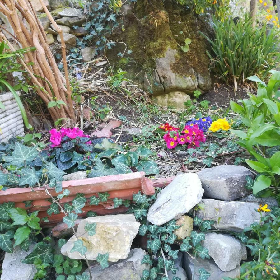 Apartament Casa Margherita Ceriana Zewnętrze zdjęcie